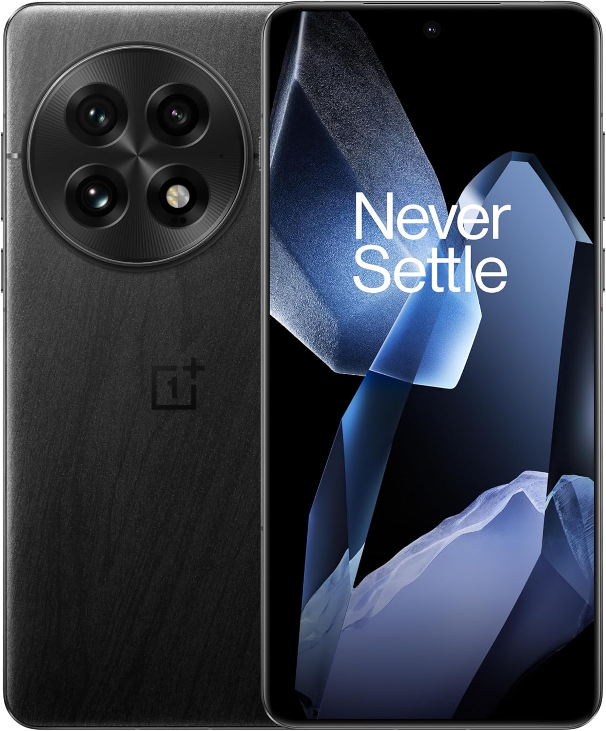 OnePlus 13